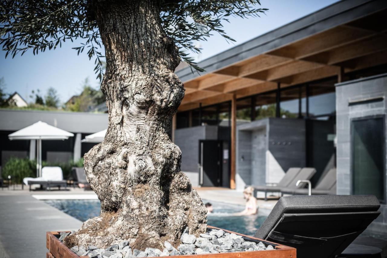 Hotel La Source Des Sens (Adults Only) Morsbronn-les-Bains Zewnętrze zdjęcie